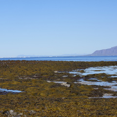 DSC01219