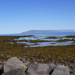 DSC01221