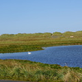 DSC01226