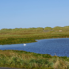 DSC01226