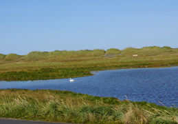 DSC01226