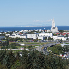 DSC01251