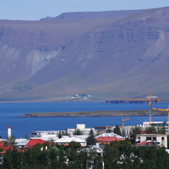 DSC01256