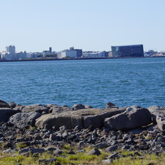 DSC01279