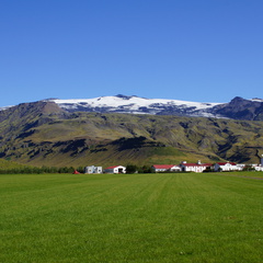 DSC01008