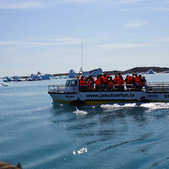 DSC01061