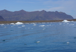 DSC01111