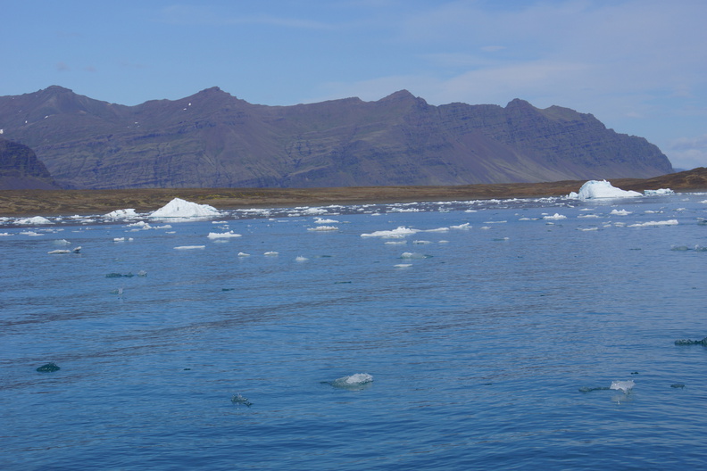 DSC01111.jpg