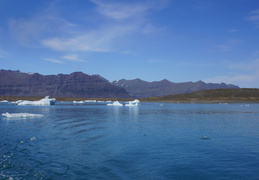 DSC01133