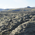 DSC01168