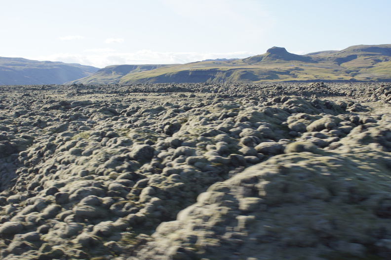 DSC01168.jpg