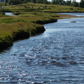 2014-08-19-14 40 23