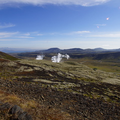 DSC00838