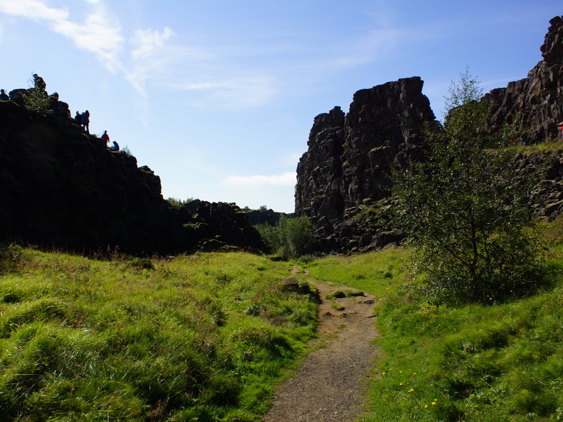 DSC00871
