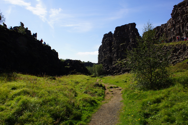 DSC00871.jpg