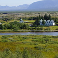 DSC00877