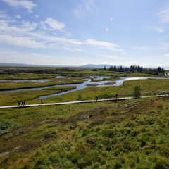 DSC00898