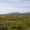 DSC00958