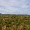 DSC00961