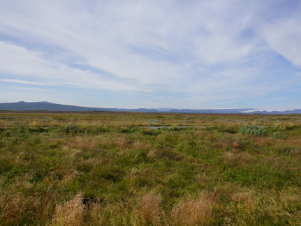 DSC00961