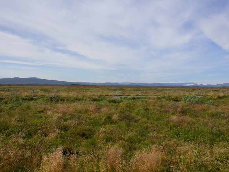 DSC00961