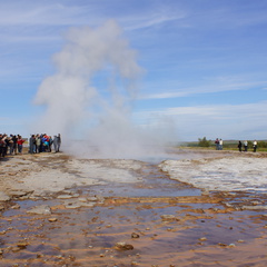 DSC00971