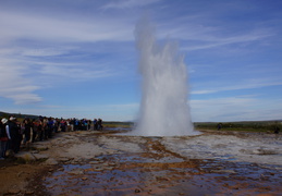 DSC00974
