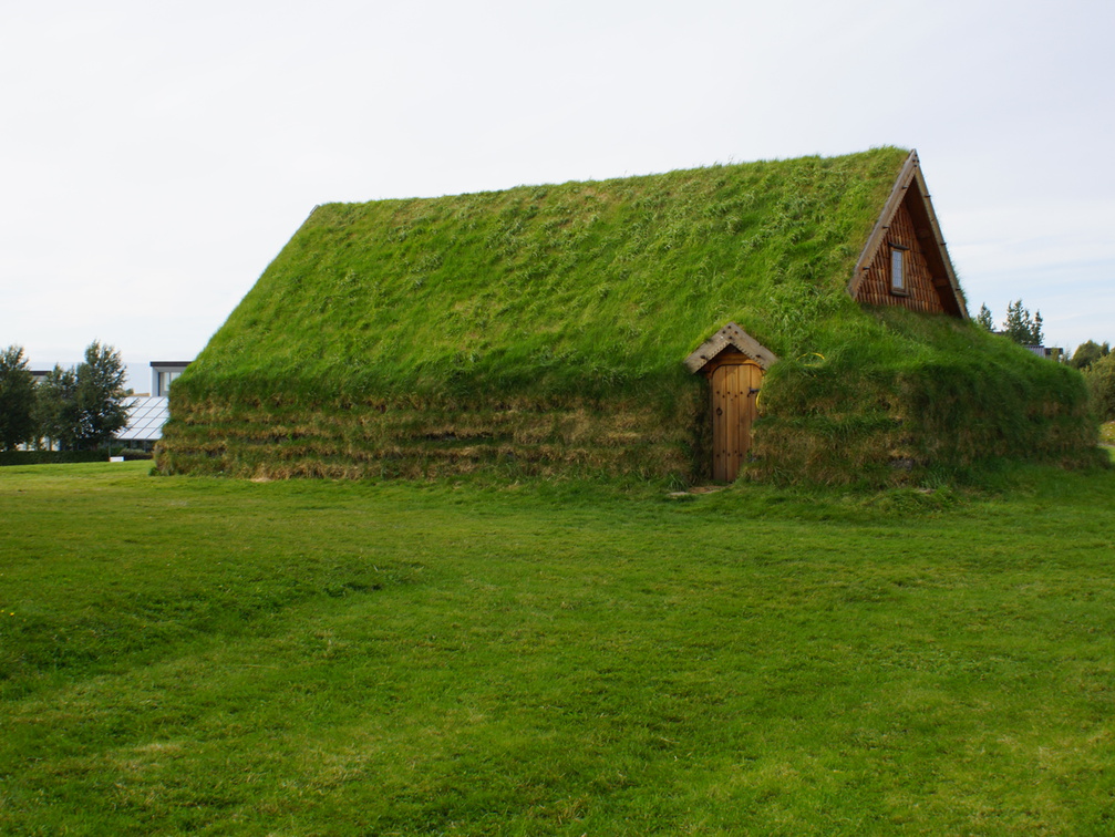 DSC01000