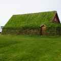DSC01000