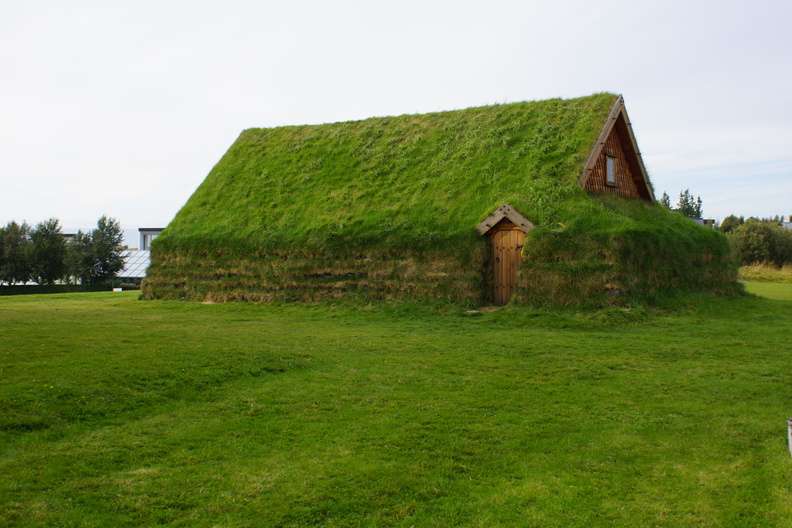 DSC01000.jpg