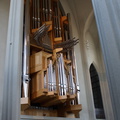 DSC00693