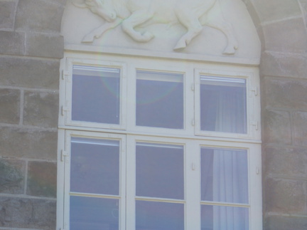 DSC00800