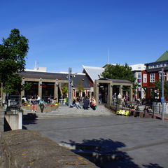 DSC00812
