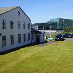 DSC00826