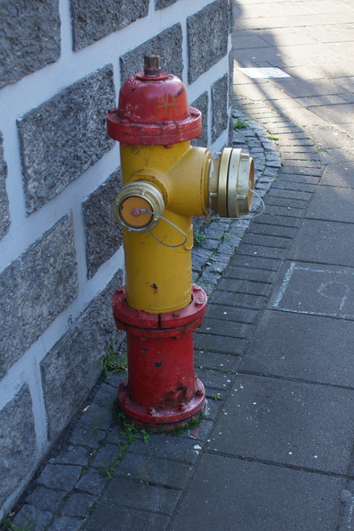 DSC01318.jpg