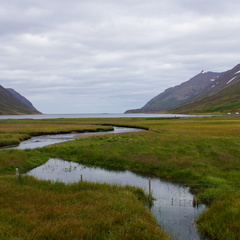 DSC01319
