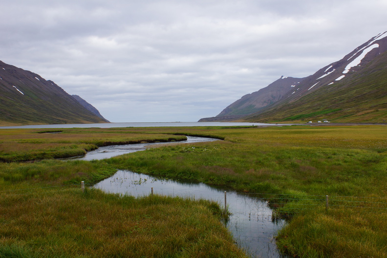 DSC01319.jpg
