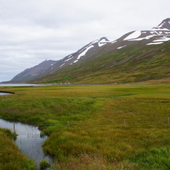 DSC01322
