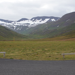 DSC01330