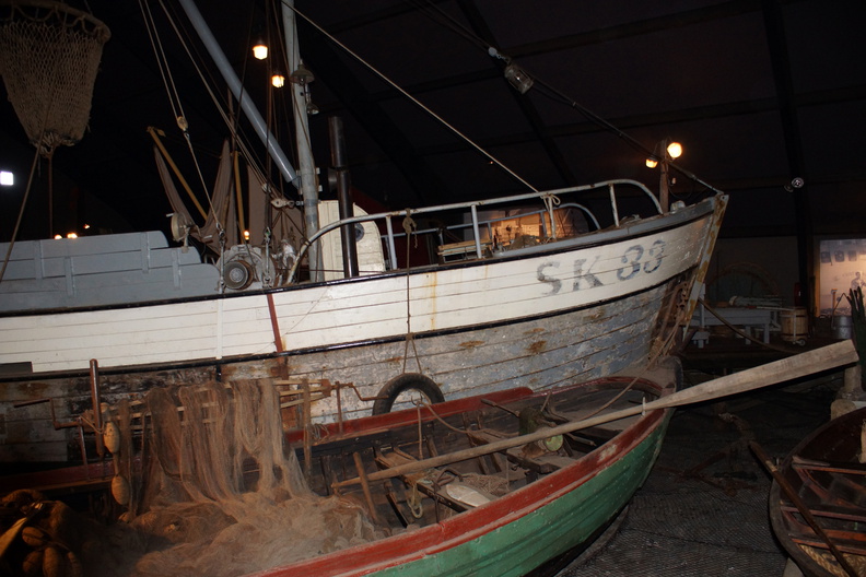 DSC01336.jpg