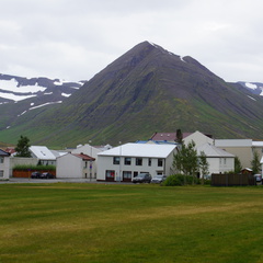 DSC01398
