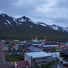 DSC01417