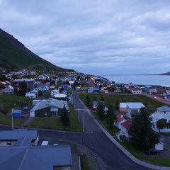 DSC01419