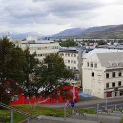 DSC01460a