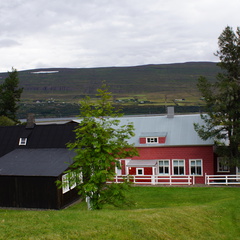 DSC01468a