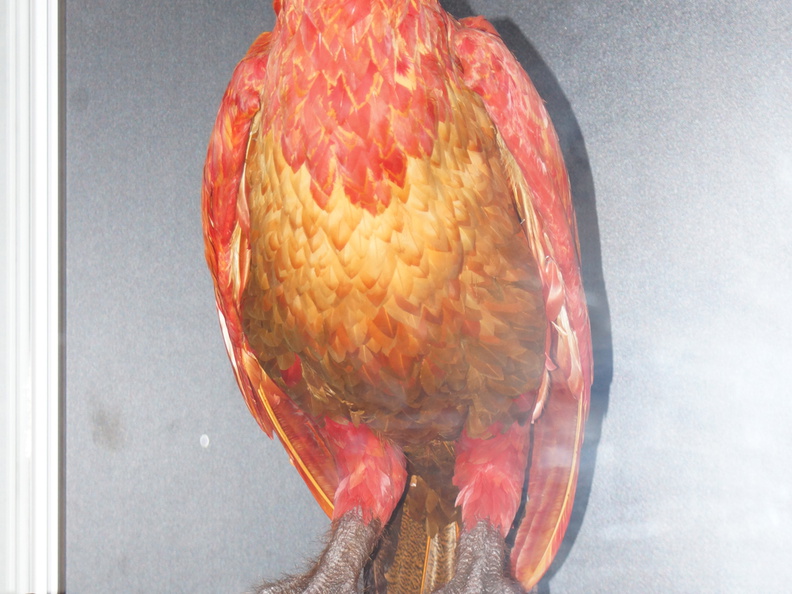 DSC01679