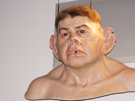 DSC01682