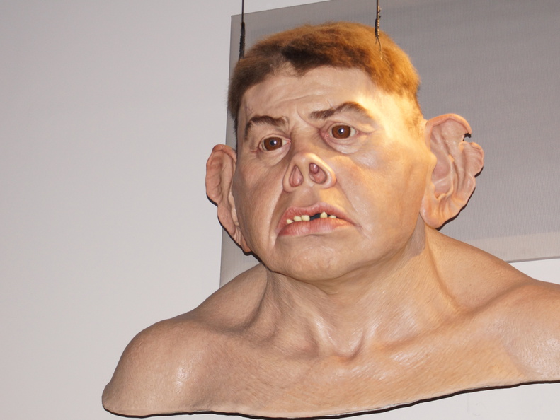 DSC01682