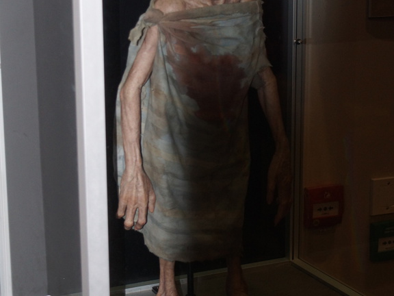 DSC01684