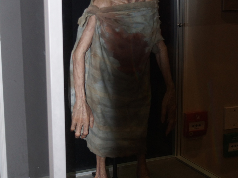 DSC01684